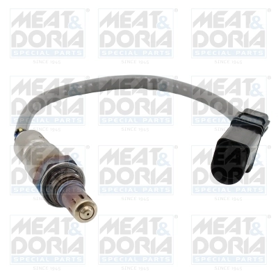 Oxygen Sensor